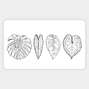 A leaf line up Magnet